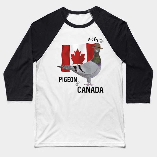 Pigeon of Canada Baseball T-Shirt by KC Morcom aka KCM Gems n Bling aka KCM Inspirations
